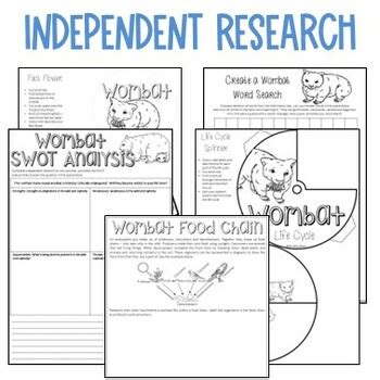 Wombat Research | Wombat Adaptations and Life Cycle by JBird Education