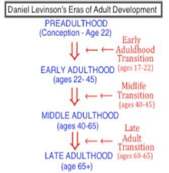 Theories Of Lifespan Development Flashcards Quizlet