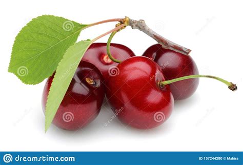 Ripe Red Cherries With Leaves Isolated Stock Photo Image Of Jelly