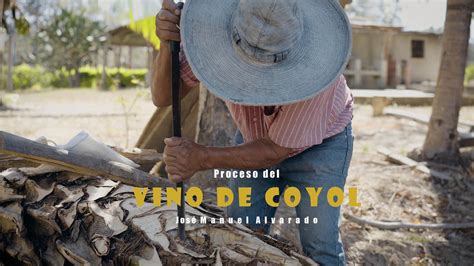 Proceso del Vino de Coyol José Manuel Alvarado YouTube