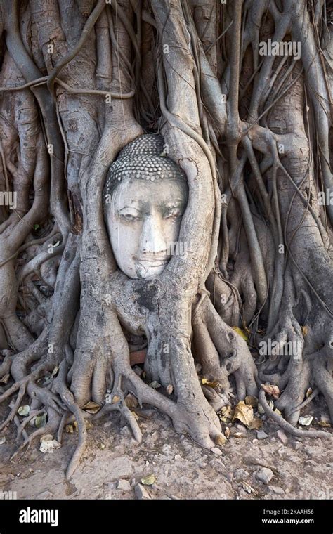 Ayutthaya Thailand Buddhas Hi Res Stock Photography And Images Alamy