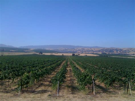 Are There Any Livermore Wineries Open On Fridays? | Livermore, CA Patch