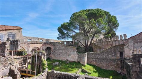 Main Cloister Of The Monastery Of The Order Of Christ Convento De