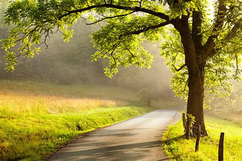 royalty  country road pictures images  stock  istock