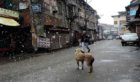 Parts of Kashmir valley to experience snow, rain: MeT