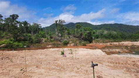 Unit Tambang Masih Beroperasi Di Bukit Menumbing Ini Permintaan