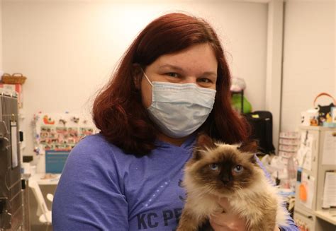 National partnerships will soon expand the petco love lost network 5