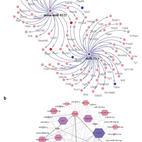 Identification Of The Differentially Expressed MiRNAs A A Volcano Map