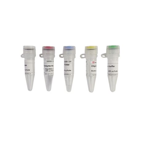 Swescript Rt I First Strand Cdna Synthesis Kit 100rxns - China Reverse ... 