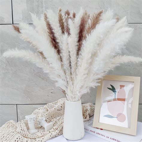 Buy MLFLOWER Pampas Grass 50PCS Natural Dried Pampas Grass Decor 45CM