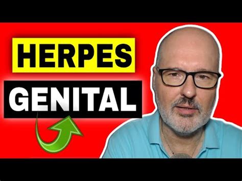 Todo Lo Que Debes Saber Sobre El Herpesvirus Canino Tipo S Ntomas