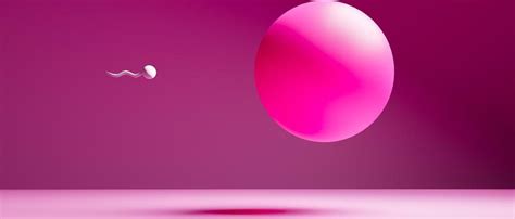 Der Erbonkel Viel Sex Hilft Viel