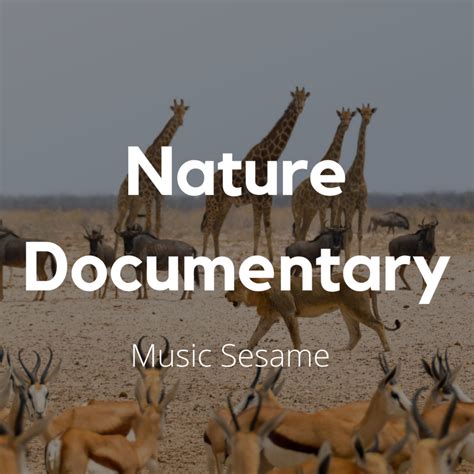 Nature Documentary Stock Music - Lifetime Royalty Free Music Subscription