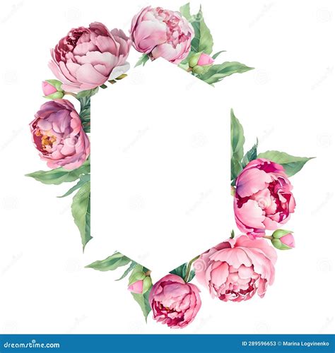 Watercolor Frame With Pink Peonies Great For Cards And Wedding