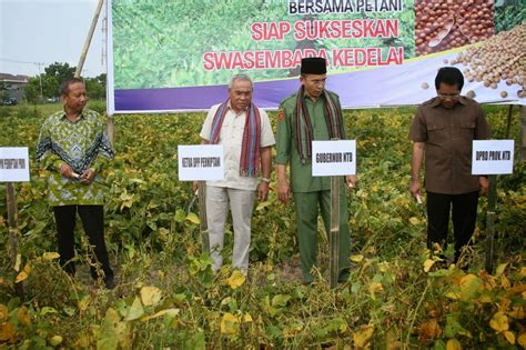 Petani Indonesia Sejahtera Optimalisasi Lahan Pertanian Di Luar Jawa