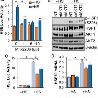 Akt Is Required For Full Hsf Activation In Response To Heat Stress