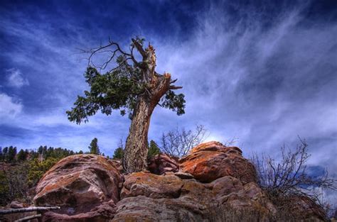 5 Great HDR Landscape Photography Tips | Contrastly 