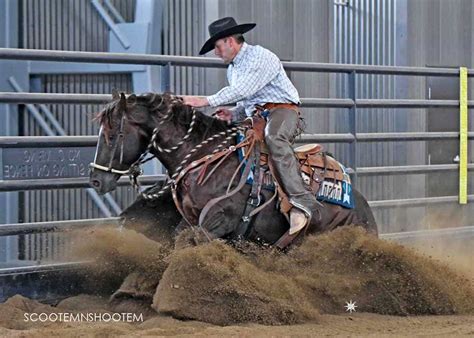 Montana Reining Cow Horse Association - Majestic Valley Arena