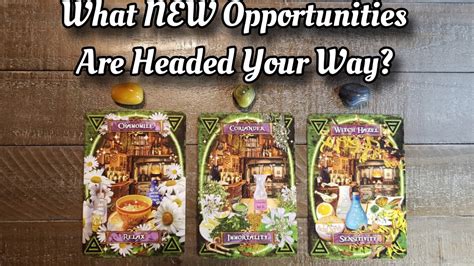 🌟🙏 What New Opportunities Are Headed Your Way 🌟🙏 Pick A Card Reading