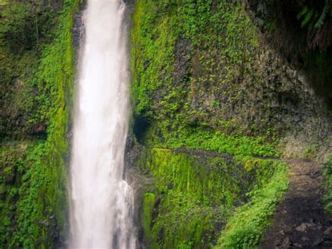 Tunnel Falls in Oregon: The Hike That Lets You Walk Being a Waterfall