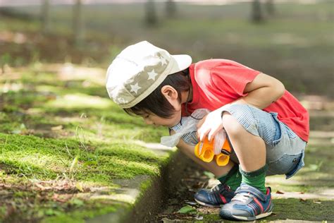 子どもの興味や関心を引き出すかかわり方の工夫 アデック知力育成教室