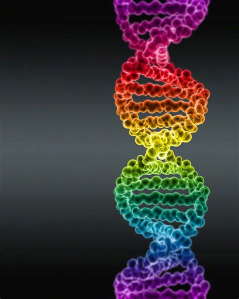 Spectrum Colored DNA by Digital Art | Dna art, Dna artwork, Dna