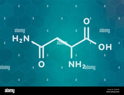 Asparagine L Asparagine Asn N Amino Acid Molecule White Skeletal