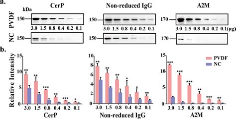 Comparison Of The Binding Ability Of Pvdf Membrane And Nc Membrane To