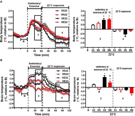 Frontiers Cold Exposure After Exercise Impedes The Neuroprotective