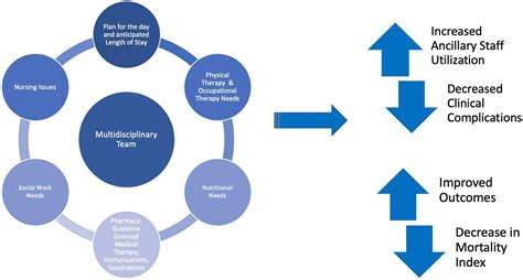 What Is A Multidisciplinary Setting At Bobbi Fraser Blog