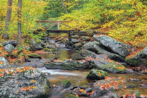 Best Fall Foliage Spots In Connecticut And Beyond