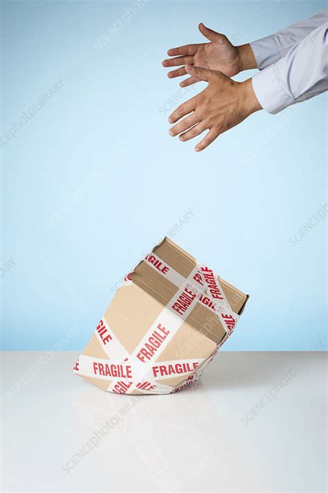 Hands Dropping Cardboard Box Stock Image F0103364 Science Photo