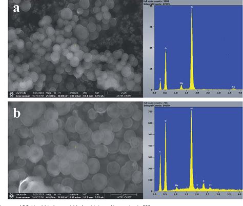 Figure 1 From Mesoporous Bioactive Glass Nanoparticles Doped With Magnesium Drug Delivery And