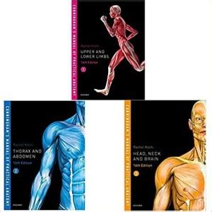 Cunningham S Manual Of Practical Anatomy Vol Upper And Lower Limbs