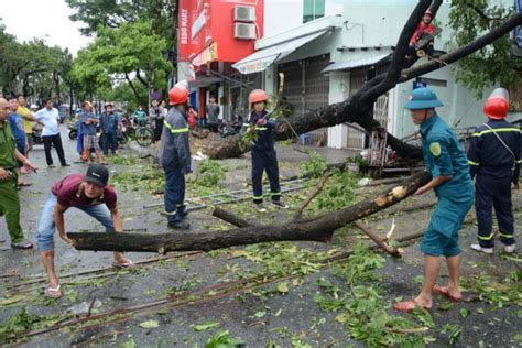 Storm Damage