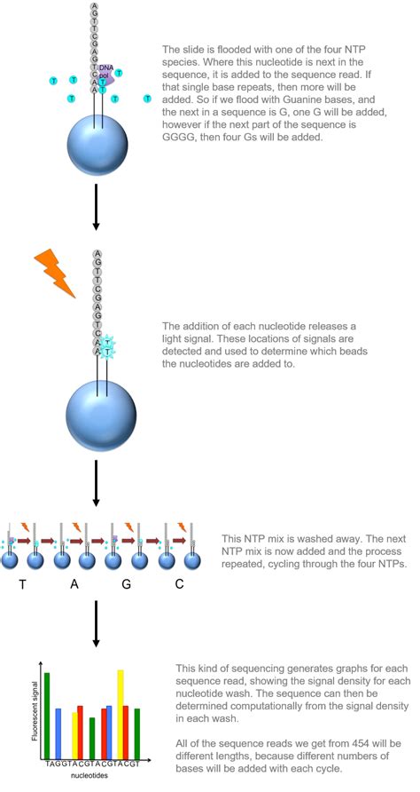 Sequencing Functional Genomics Ii