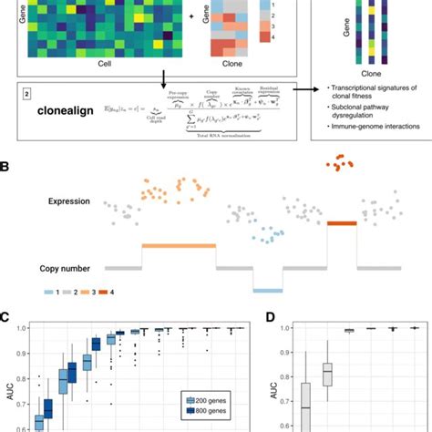 SCLC PDX Model Responses To First Line Chemotherapy Reflect Patient