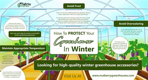 How To Protect Your Greenhouse In Winter - Infograph – Mulberry Greenhouses