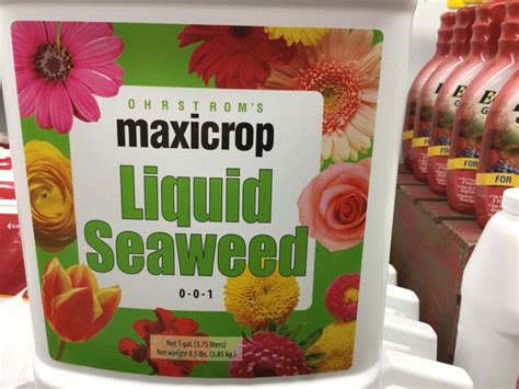 Maxicrop Liquid Seaweed Gal Growers Outlet Willis Texas