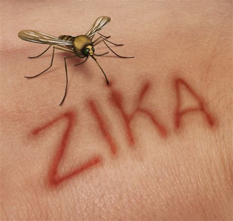 List Pictures Pictures Of The Zika Virus Sharp