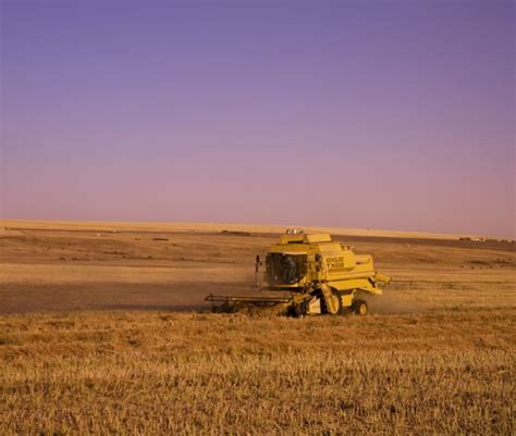 Prairie farmland rentals seen holding steady, for now - AGCanada