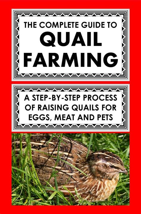 The Complete Guide To Quail Farming: A Step-By-Step Process Of Raising