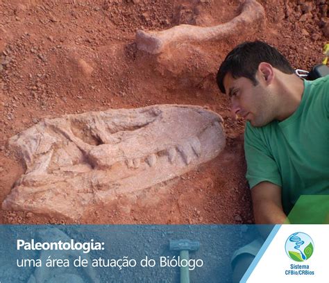 Paleontologia uma área de atuação do Biólogo