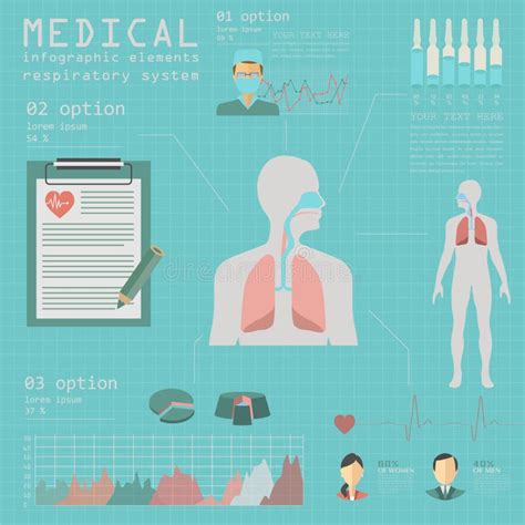 Medisch En Gezondheidszorg Infographic Ademhalingssysteem Infograph