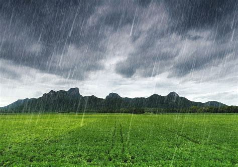 Se Acerca La Temporada De Lluvias