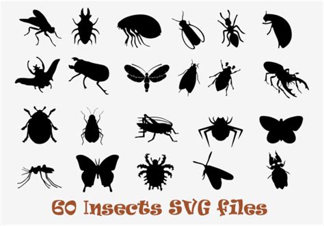 Insect Svg Bundle Bug Svg Bundle Graphic By Smarttemple · Creative Fabrica