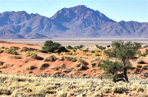 Desert Landscape - NamibRand, Namibia — Stock Photo © demerzel21 #84764664