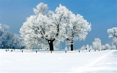 عکس طبیعت زمستان برای پروفایل کامل مولیزی