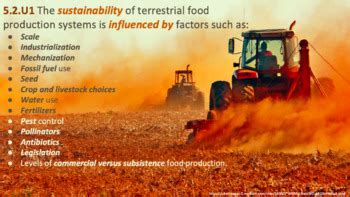 Ib Ess Topic Soil And Terrestrial Food Systems Bundle By Mrkremerscience