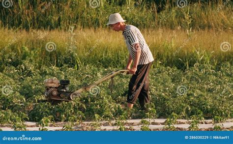 El Agricultor Trabaja Sobre El Terreno Utilizando Un Tractor Que Camina